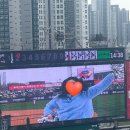 야구 보면서 우박 맞은 사람 저요/남의집경기직관