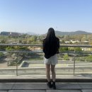 동국대학교박물관 | 서울 용산 가볼만한곳 아니고 한국인이라면 꼭 가봐야 할 곳 / 국립중앙박물관