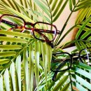 인천안경백화점 이미지