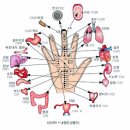 금경