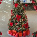 동읍1164 이미지