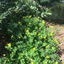 <b>중앙</b><b>방역</b><b>대책</b><b>본부</b> 공급 '콜대원키즈펜시럽' 회수 추진