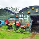 꿈나무농장 이미지