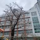 용소초등학교병설유치원 이미지