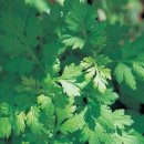 (주)보은 농산물