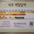 테이스티아일랜드