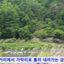 천천면오연삼거리 이미지