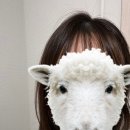 헤어로로 | 동패동미용실 / 초롱꽃마을로 이사오고 로엘바이아이디헤어로로 정착함! 신애부원장님
