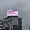 루니아의원 이미지