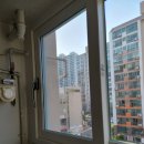 국제백양 이미지