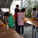 연당초등학교 이미지