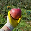 석골농장 이미지