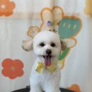 큐티살롱 이미지