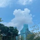 트리니움여성병원 이미지