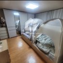 면목동-109 이미지