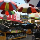 기장시장대게 이미지