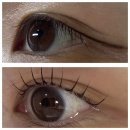 샘 | 2동탄 속눈썹 펌 에르샘래쉬 후기 !