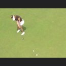 버디버디 이미지