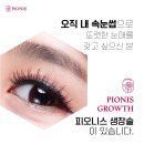 낙타속눈썹