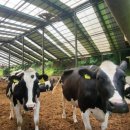 감돈축산 이미지