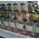 호미곶민박 이미지