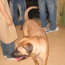 강산유치원 이미지