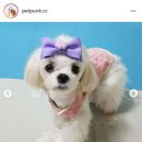 뭉개뭉개 이미지