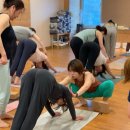 몸 사용 설명서 | 내몸사용설명서 <어깨> 일산 바루나요가 특강후기