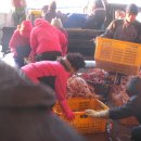 백사장펜션 이미지