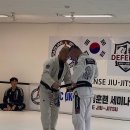 팀크러쉬주짓수