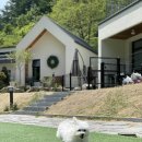 메리도그하우스 이미지