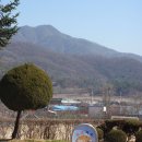 사창1리 이미지