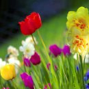 성유목장 이미지