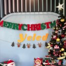 노은유치원 | 대전 애견 호텔 · 대전 애견 유치원 · 대전 강아지 유치원 추천, 옐레드 대전노은점 후기