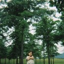 장원민박 | 아이와 함께한 2박3일 순천·하동 여행, 일회용 코닥 플래쉬 필름카메라로 기록한 순간들