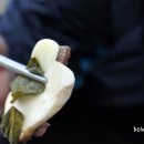 송이한우