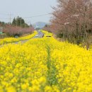 지동목장 이미지