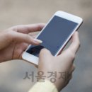 31상회