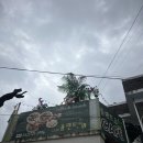 대전낭월동우체국 1층 | [낭월동 플렌트비카페]대전카페, 대전브런치카페 추천 직접다녀온 후기