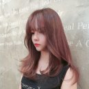 모모핑크헤어
