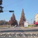 8952공인중개사사무소 이미지