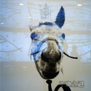 정재석농장 이미지