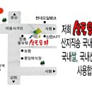 신토오리