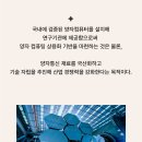 예산-54 이미지