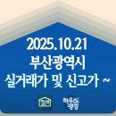 해운대뉴골드부동산중개 | 2025.10.21 부산광역시 실거래가 및 신고가 현황 - 단지 전체 (하우스랭킹)