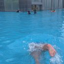 푸라닭제주표선점 | 제주 해비치 호텔 수영장 근처 석식 식당 맛집 추천 호캉스 찐 후기