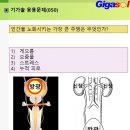 (050) 인간을 노화 시키는 가장 큰 주범은 무엇인가? 이미지