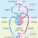 코어앤바디 - 성남시 수정구 위례대로 83 | 코어앤바디