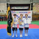 정도(태권도) 이미지