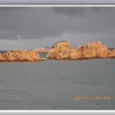 정자항 공원 이미지